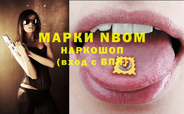 стафф Баксан
