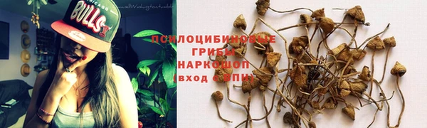 стафф Баксан