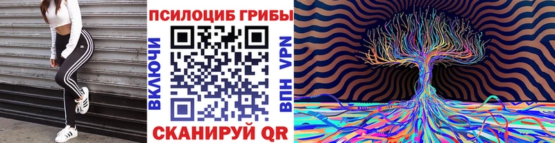 Галлюциногенные грибы Cubensis купить сайты дарк нет Telegram Сегежа